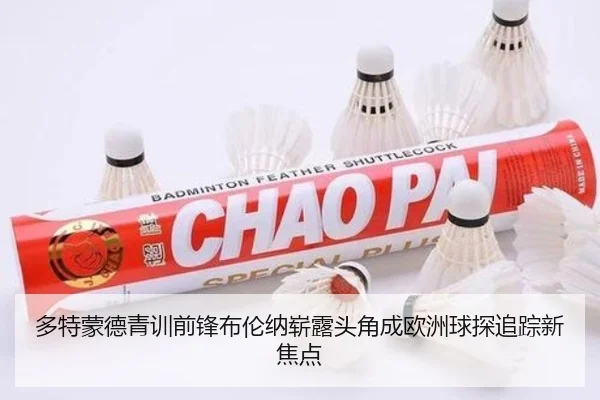 多特蒙德青训前锋布伦纳崭露头角成欧洲球探追踪新焦点 - pg